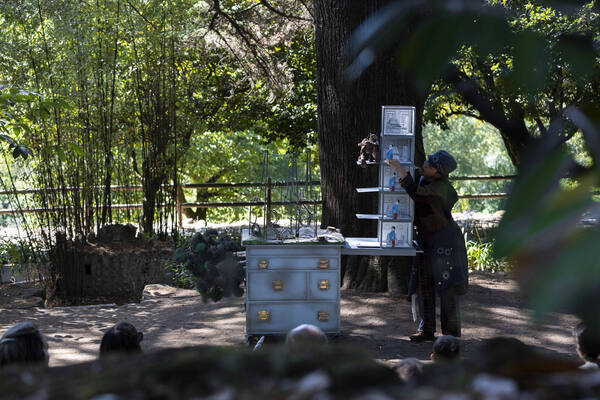 O Urso Que Não Era
O Urso Que Não Era