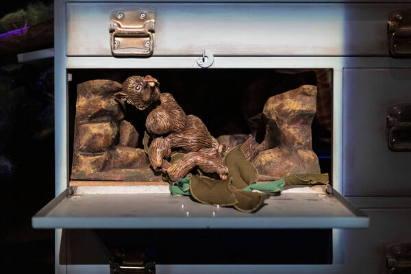 O Urso Que Não Era
O Urso Que Não Era