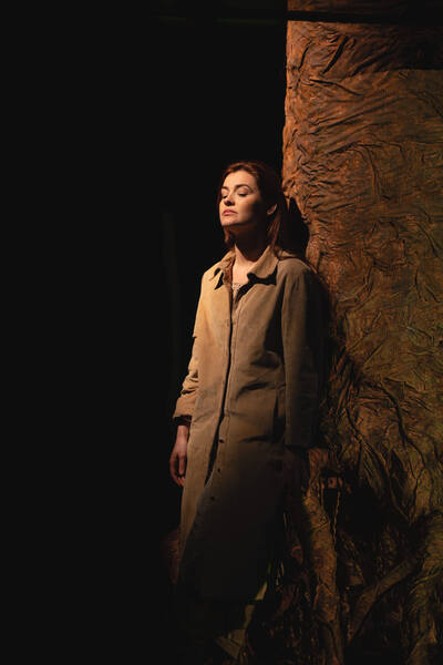 Das Árvores - Ciclo Meridional Português
 Das Árvores - Ciclo Meridional Português