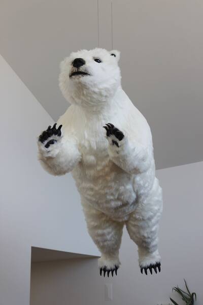 Urso polar levita na sala de estar!
Urso polar levita na sala de estar!