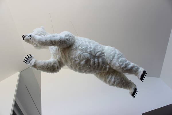 Urso polar levita na sala de estar!
Urso polar levita na sala de estar!